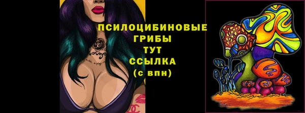 скорость Алексеевка