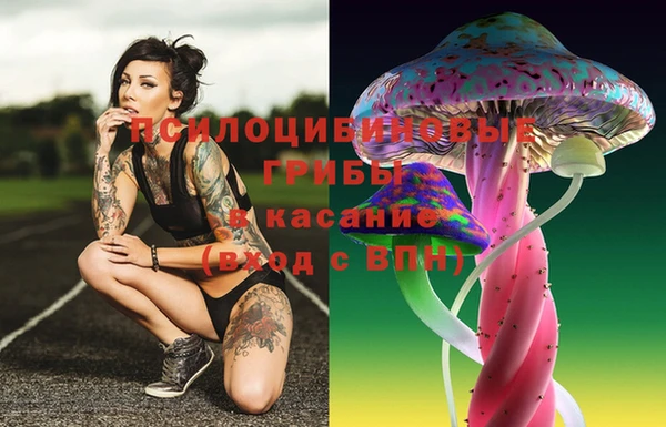 ГАЛЛЮЦИНОГЕННЫЕ ГРИБЫ Алзамай