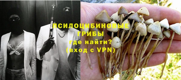 PSILOCYBIN Алексин