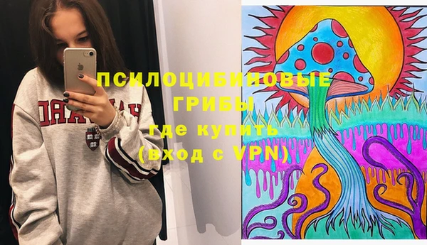 ГАЛЛЮЦИНОГЕННЫЕ ГРИБЫ Алзамай